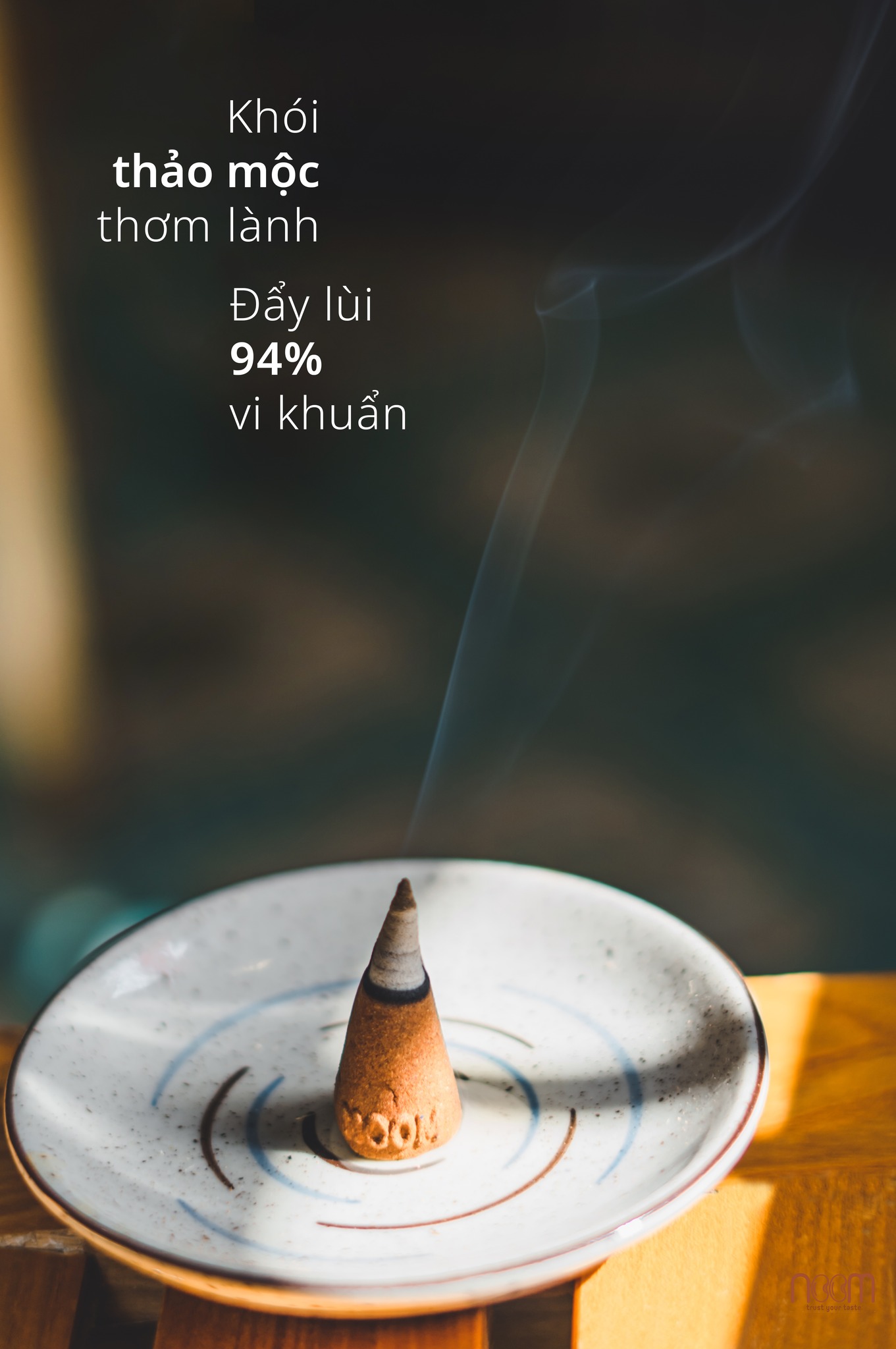 283986716_1242708219805235_4583175670077838527_n