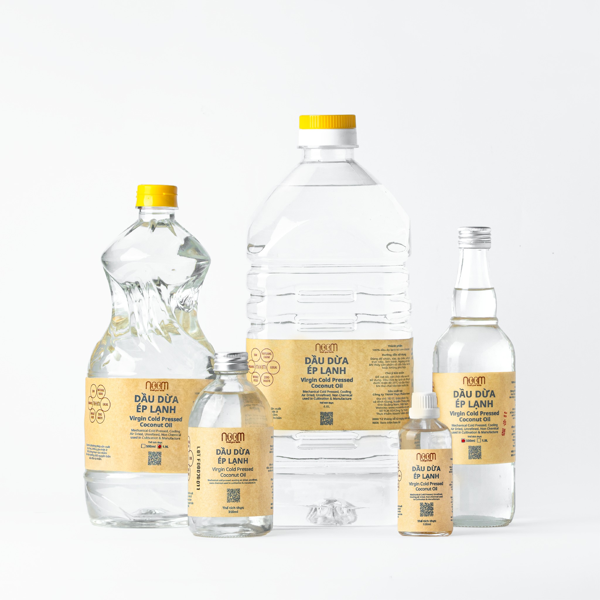 532051307_1410093273974385_7629478614572629907_n