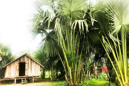 271805034_481084646703506_4286601351824706536_n