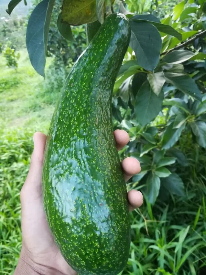 352343019_6617415371625011_457432085416878079_n