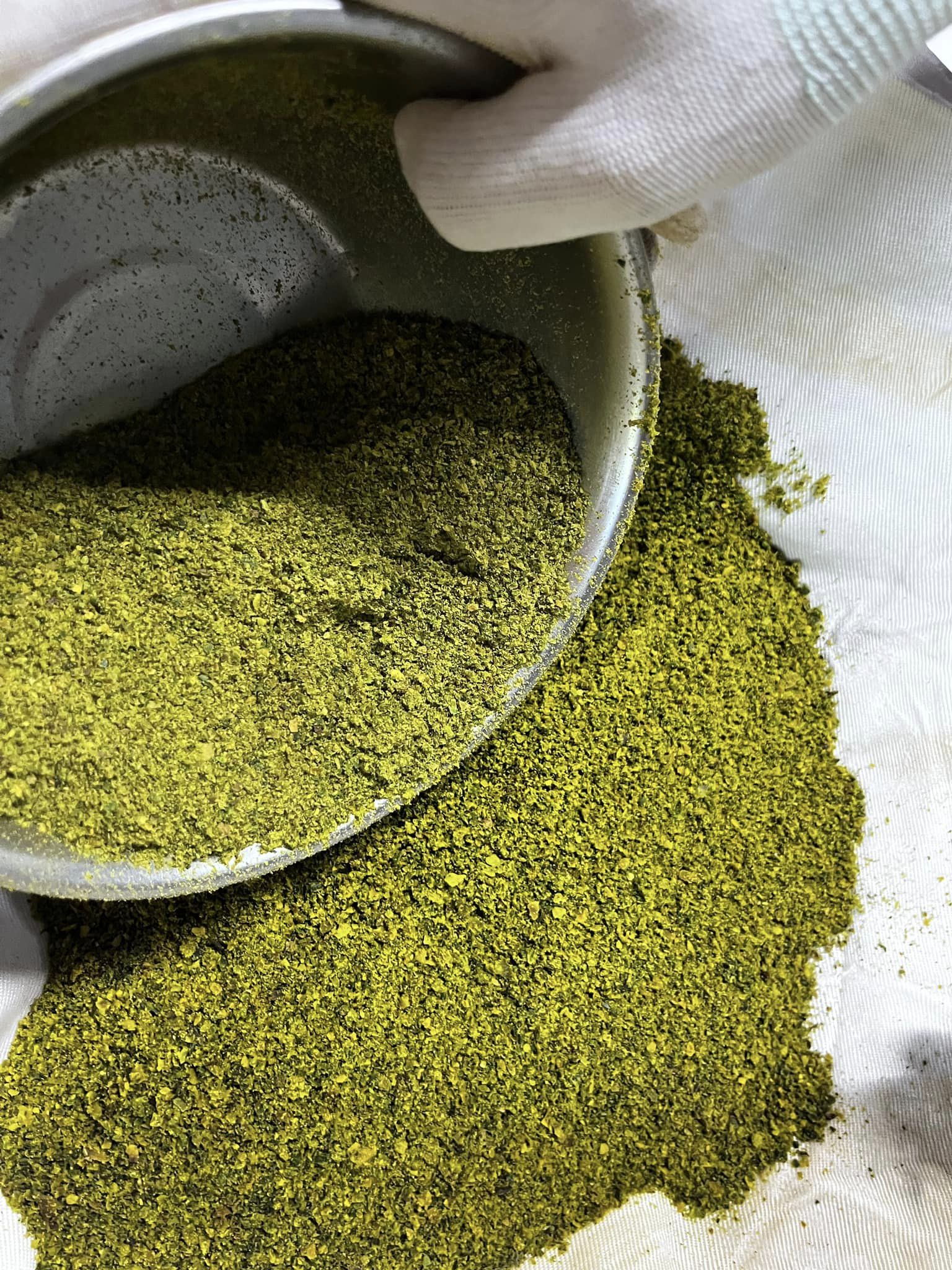 354211082_9859303387428039_7066399201687709521_n