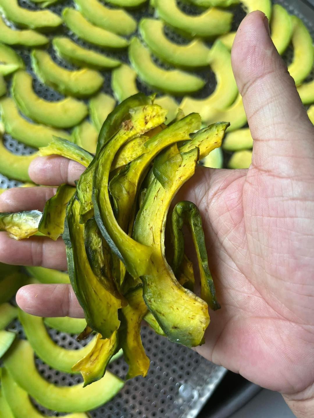 354249661_273316901895818_6725407256595132220_n