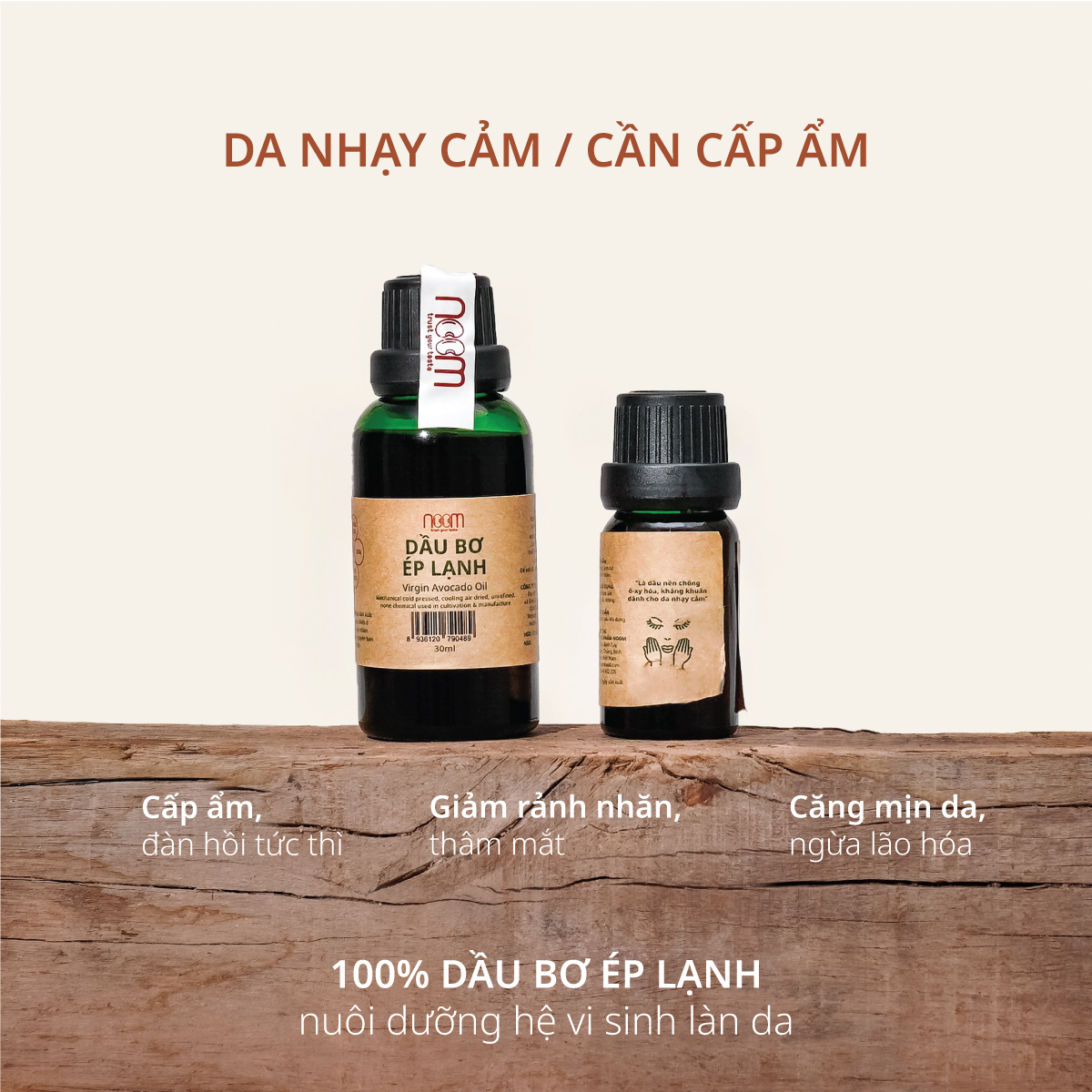 394350020_905486104435107_6137224230435363643_n