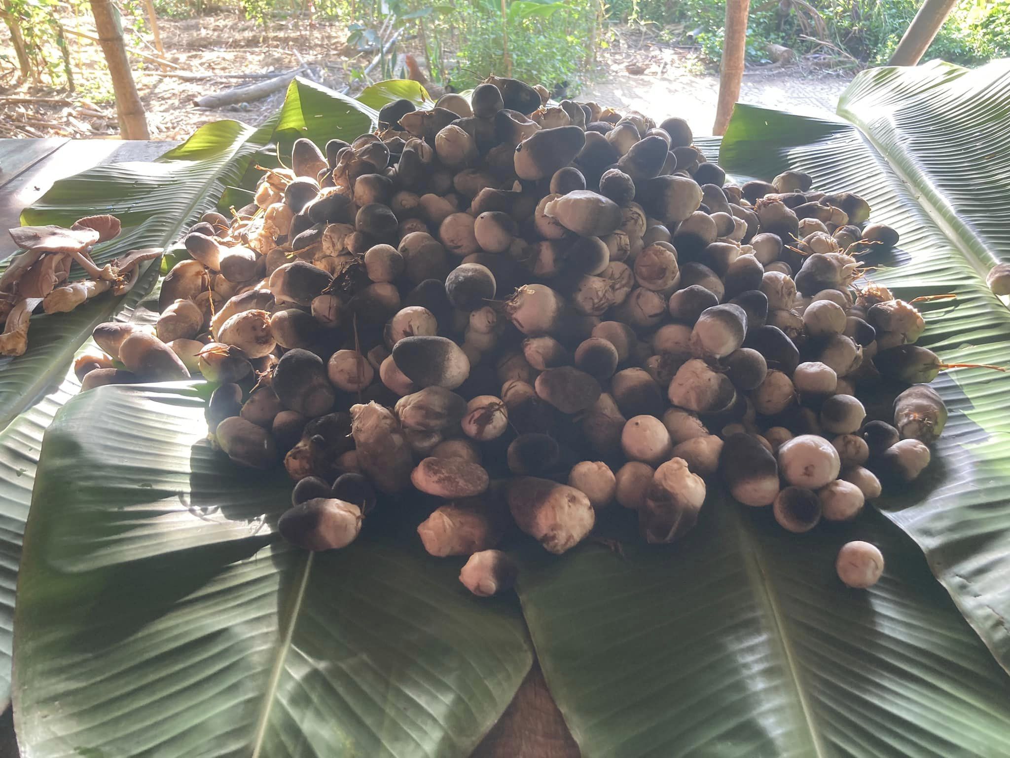 375940661_164206633388853_3850376958217516254_n