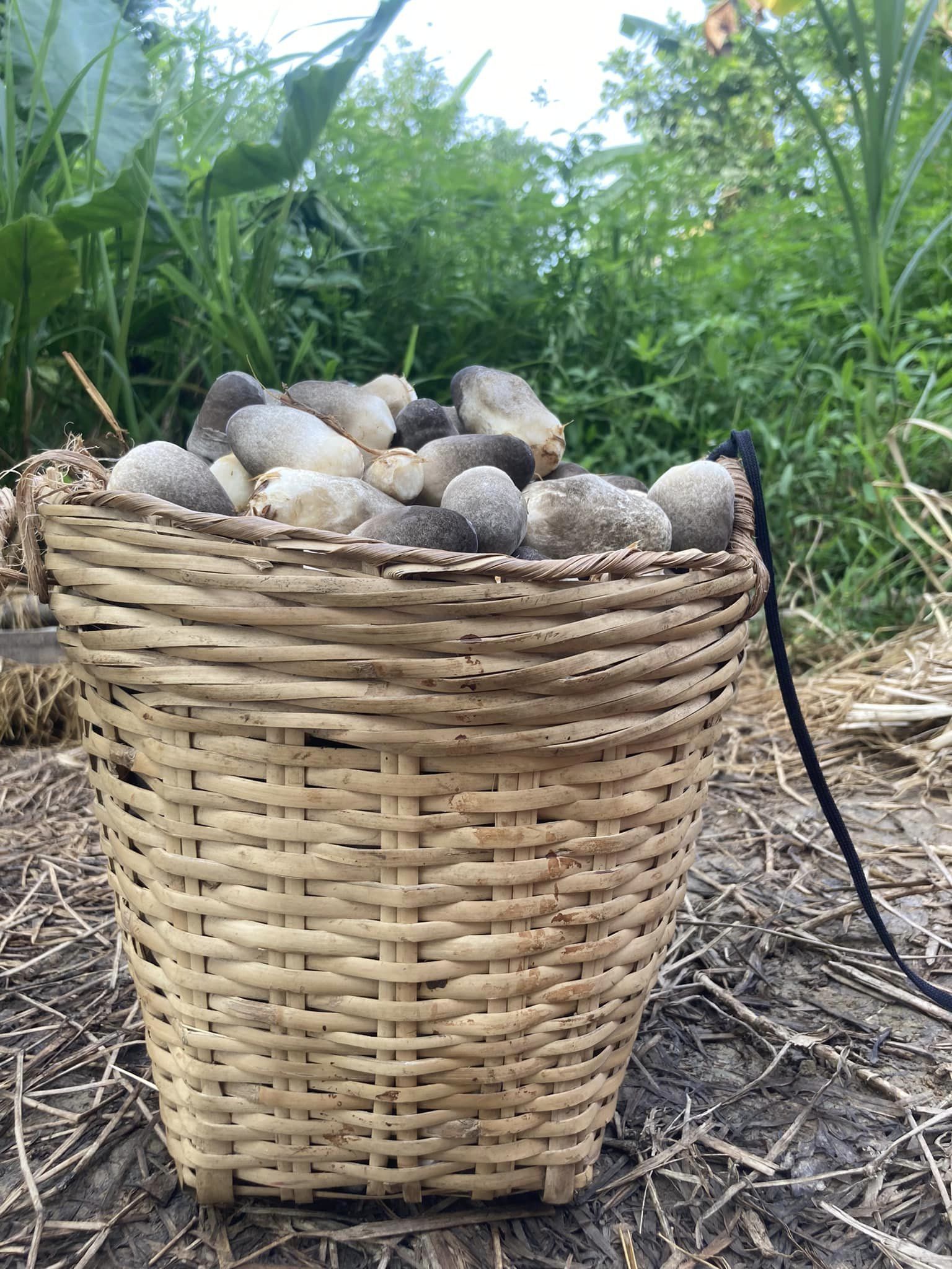 379305418_169297689546414_2717636919624732193_n