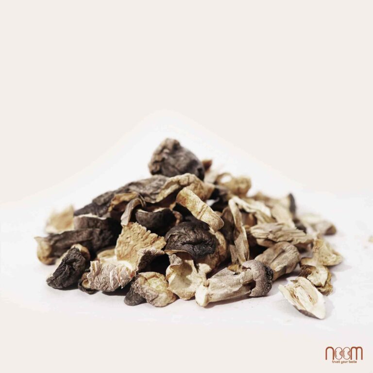 noom.namromkho.web_.4-1-768x768