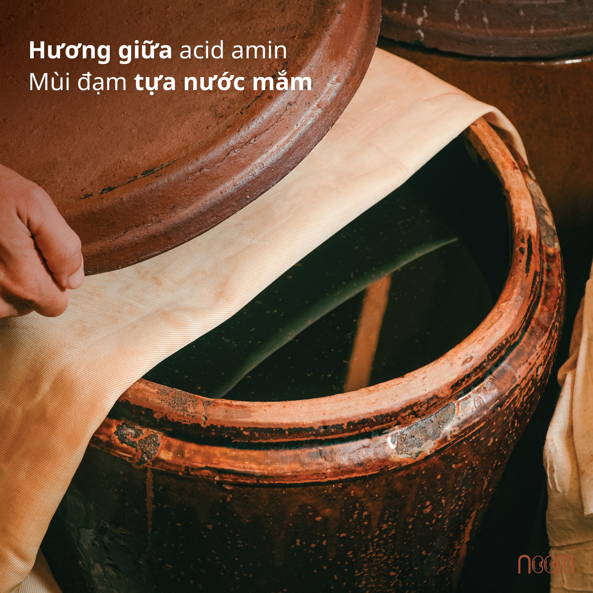 464909095_1171157777867937_1310452688769436754_n