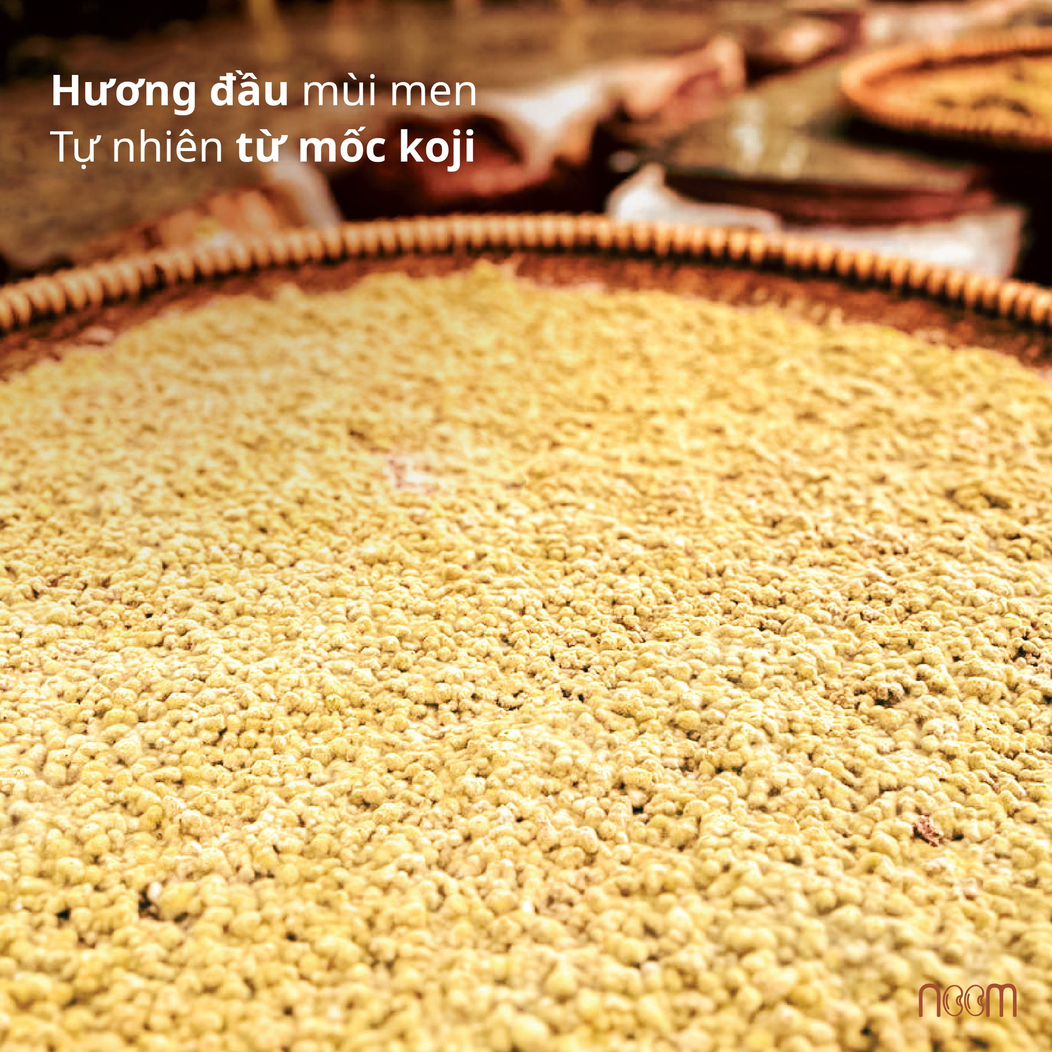 465165260_1171157767867938_93494979411500449_n