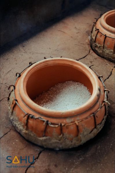 449742725_882714207209862_3296363397167400612_n